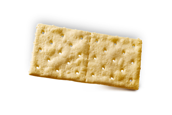 NO YEAST cracker