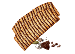 SWEET RUSKS with chocolate and seeds